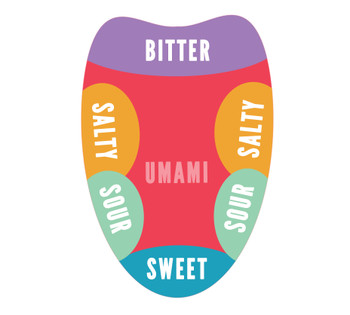 Umami - tongue taste regions